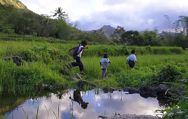 ��������� ������ �� ����������